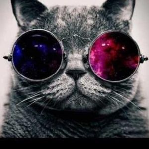 Meet your Posher, Rober